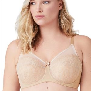 NWT Retro Chic Full Figure Underwire Bra Sz 32H